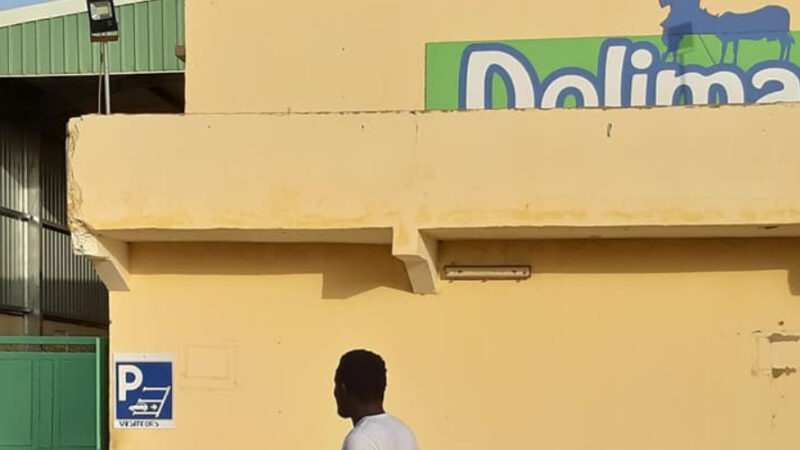 Braquage à main armée : l’usine Dolima plongée dans le chaos à Richard-Toll