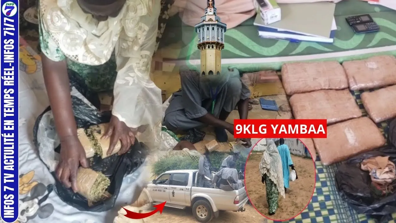 Sénégal – Trafic à Touba : Une commerçante de 66 ans arrêtée avec près de 5 kg de chanvre indien