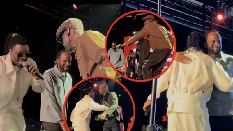 États-Unis – Invités surprises de Wally Seck, le trio Sanekh, Cheikhouna et Jojo a enflammé la scène de Bercy New York (Vidéo)