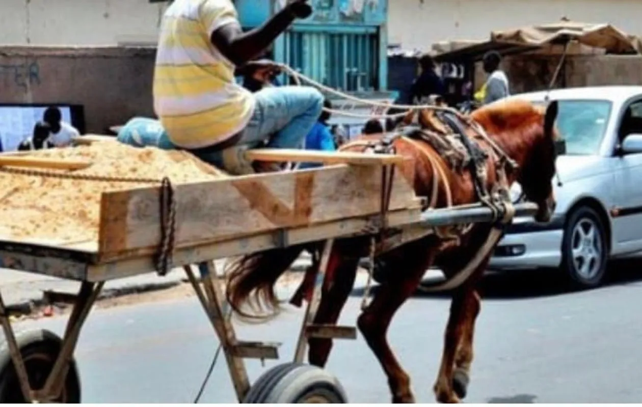 Sénégal – Restauration de l&rsquo;ordre public : Les chariots et pousse-pousse bannis de plusieurs axes stratégiques