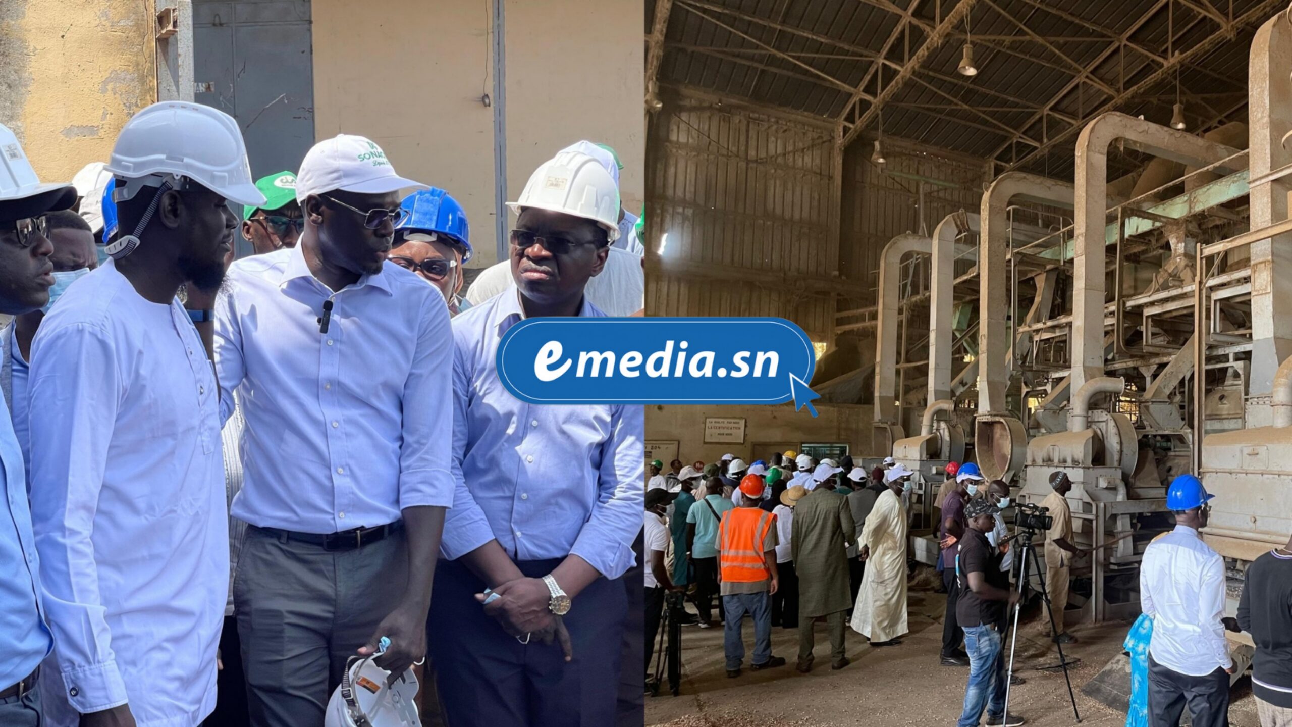 Sénégal – Ziguinchor : Le plan de l&rsquo;État pour la Sonacos, « sortir de la dépendance exclusive à l’arachide »