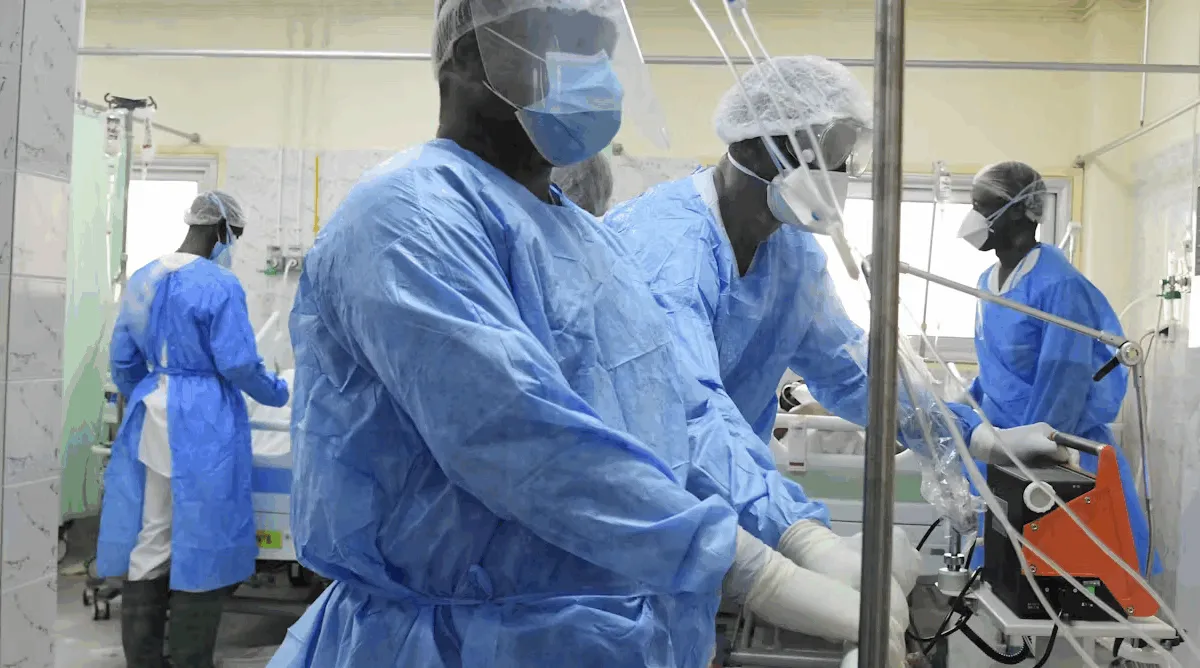 Fièvre de la Vallée du Rift au Sénégal : La FAO appuie la riposte à Matam face à une épidémie qui compte 25 décès