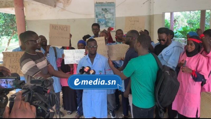 Sénégal – « On nous envoie des cours sur WhatsApp » : Les étudiants du CRFS de Ziguinchor en grève pour 6 mois de bourses impayées