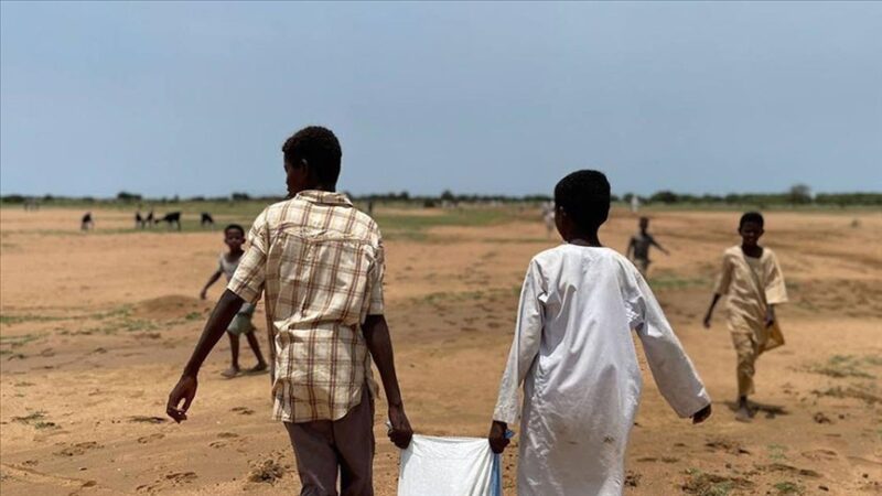 Soudan : « Un massacre horrible » à El-Fasher, des milliers de civils tués après la prise de la ville par les FSR