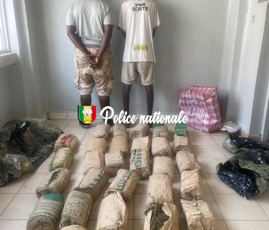 Trafic de chanvre indien : une filière entre Pikine et Ngekhokh démantelée