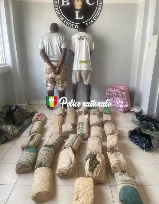 Trafic de chanvre indien : une filière entre Pikine et Ngekhokh démantelée