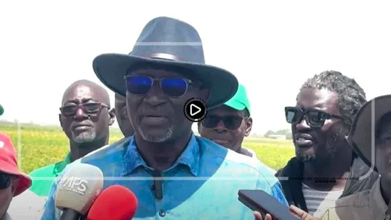 Mbaye Sylla Khouma : « Au Sénégal, il y a 6,5 millions d’hectares de terres agricoles que personne ne touche… »
