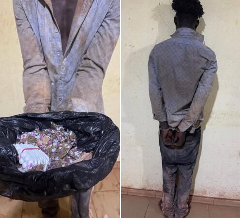 Moussala – Trafic vers les sites d’orpaillage : 52 sachets de chanvre et 100 comprimés de Tramadol saisis