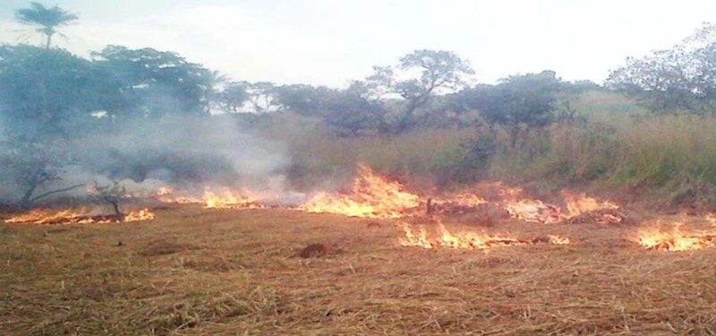Podor : Un vaste feu de brousse ravage plusieurs villages en pleine période de récolte