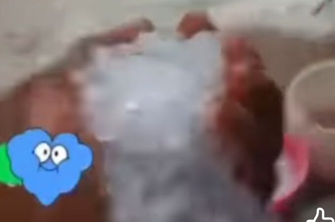 Chute de glace à Ndioum (Podor) : La nature surprend le nord du Sénégal. Regardez !