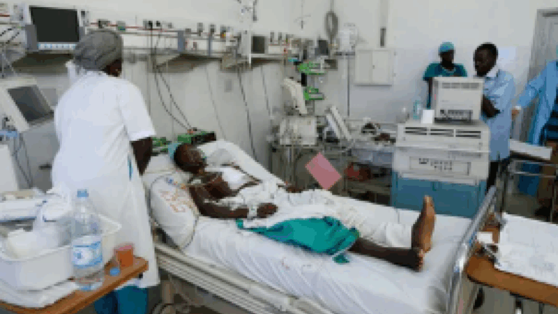 Fièvre de la Vallée du Rift : Kaolack devient la sixième région touchée par l&rsquo;épidémie