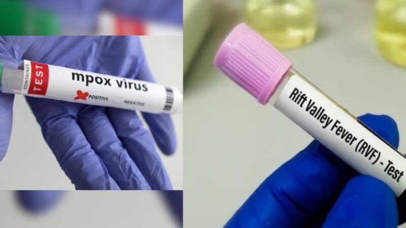 Fièvre de la Vallée du Rift et Mpox: 229 cas  enregistrés