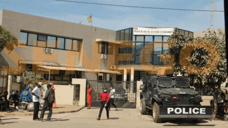 Affaire Pape Cheikh Diallo : B. A recouvre la liberté