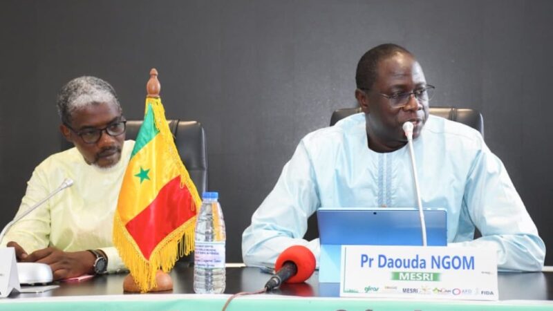 Sénégal : Le conseil agricole au cœur de la 15e rencontre mondiale du GFRAS prévue à Dakar en 2025