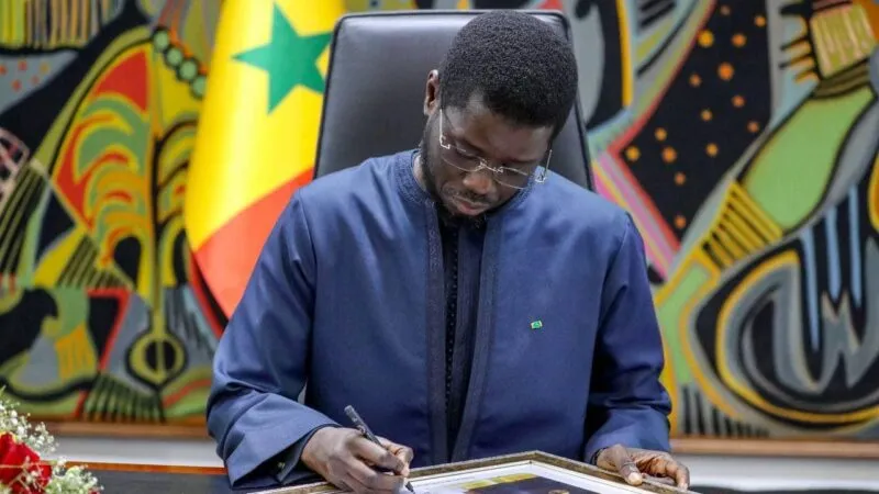 Autosuffisance en riz : Diomaye Faye donne un coup d’accélérateur à la souveraineté alimentaire…