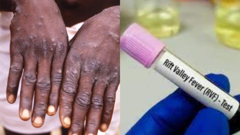 Fièvre de la vallée du Rift au Sénégal : « Sur 18 cas, 11 sont guéris » à Fatick, selon la gouverneure