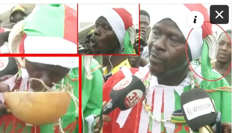 Sénégal : Qualifiés de « moutons », des partisans de Sonko broutent de l’herbe en direct pour répliquer (Vidéo)