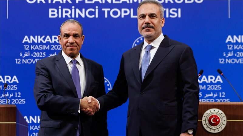 Soutien à la Syrie en Türkiye : L’Égypte assure que Damas ‘ne représente aucune menace pour la région’