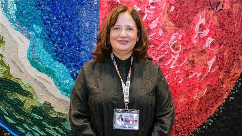 Diplomatie climatique en Türkiye : Ankara prête à organiser seule la COP31 après un désaccord avec l’Australie