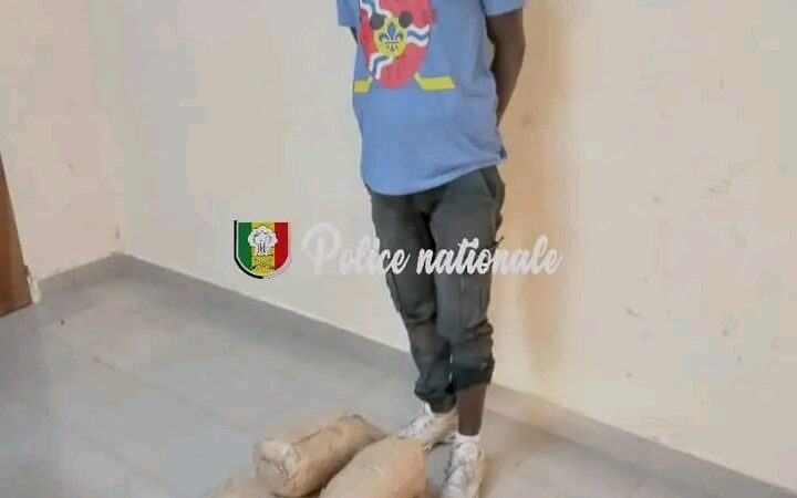 Thiès : 10 kg de chanvre indien saisis dans la brousse de Gourelle