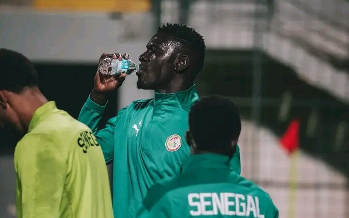 Match amical : Séance intense des Lions à Antalya avant le Kenya (Photos)
