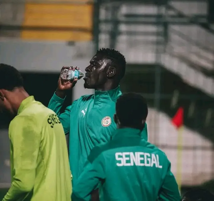 Match amical : Séance intense des Lions à Antalya avant le Kenya (Photos)