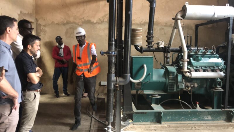 Sénégal – Compétitivité du riz local : Une centrale biomasse à Dagana pour ‘réduire la facture énergétique’