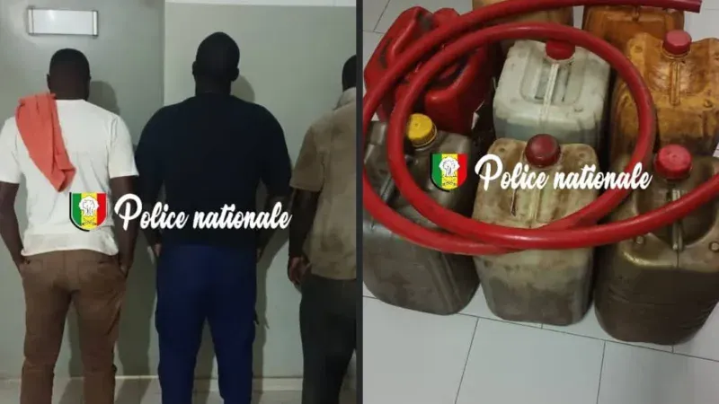 Sénégal – Vols répétés de carburant à Zac Mbao : Trois individus arrêtés, une dizaine d&rsquo;opérations avouées