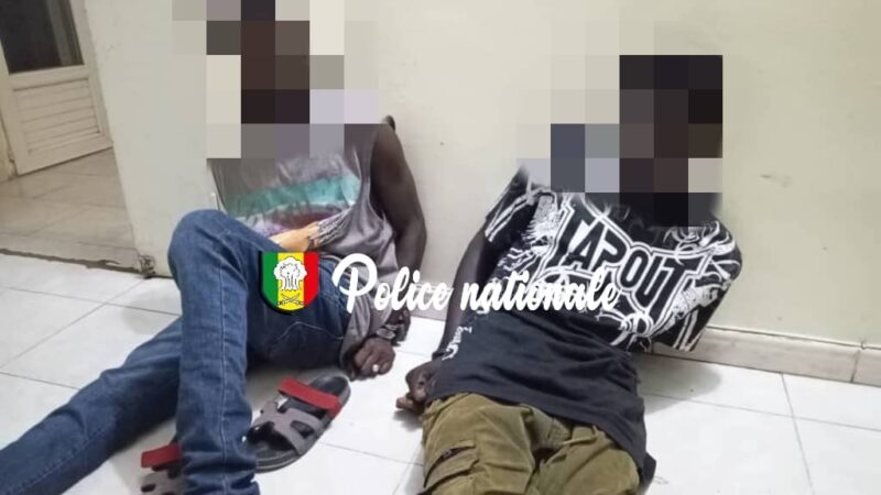 Trafic de drogue à Louga : 9 kg de cannabis saisis, deux individus arrêtés à Ndiagne