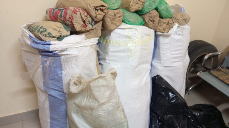 Mbour : Saisie de 108 kg de chanvre indien à la plage de Mballing, les trafiquants en fuite