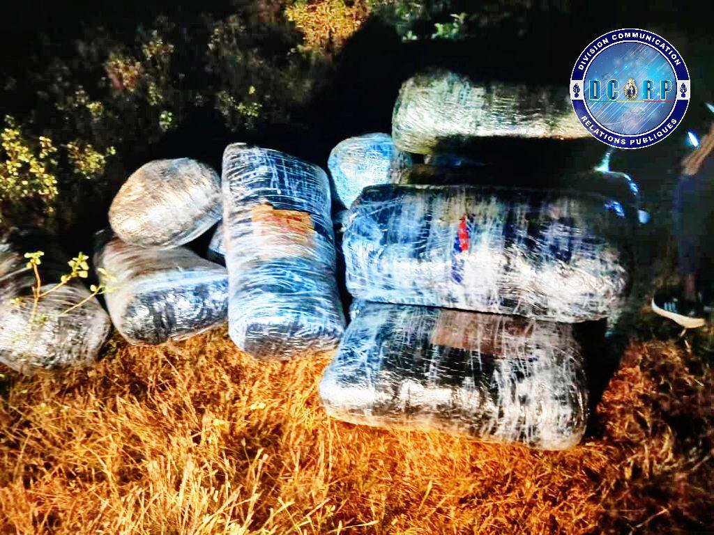 Lutte contre le trafic de drogue : Plus de 500 kg de chanvre indien et du haschisch saisis par la gendarmerie