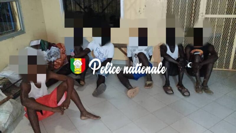 Réseau d’abattage démantelé à Sédhiou: La bande repérait des vaches la nuit avant de les égorger et de livrer la viande à…