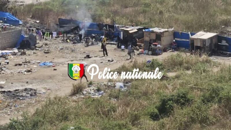 Kush, Tramadol et armes blanches : un vaste réseau démantelé, 21 personnes interpellées entre Pikine et l’ancienne piste