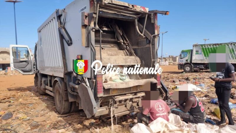 Malika : quatre individus interpellés pour revente de produits avicoles impropres à la consommation