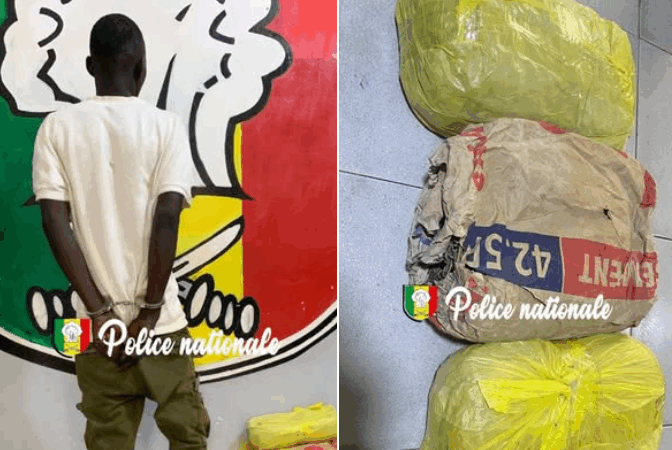 Trafic de drogue à Kaolack : la Sûreté urbaine interpelle un homme avec 4 kg de cannabis