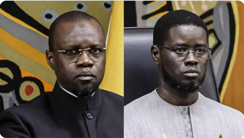 Pr Moussa Diaw alerte sur l’isolement politique de Bassirou Diomaye Faye
