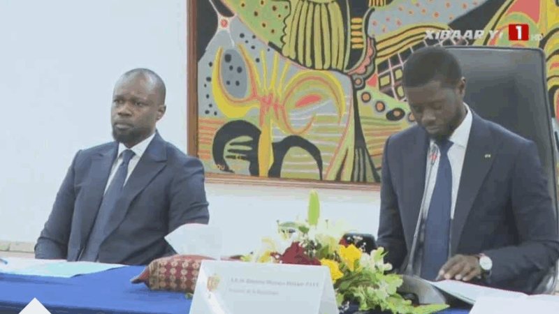 Feu au Sommet – “Stop ! Arrêtons cela” : L’Appel Urgent de Pape Amadou Fall