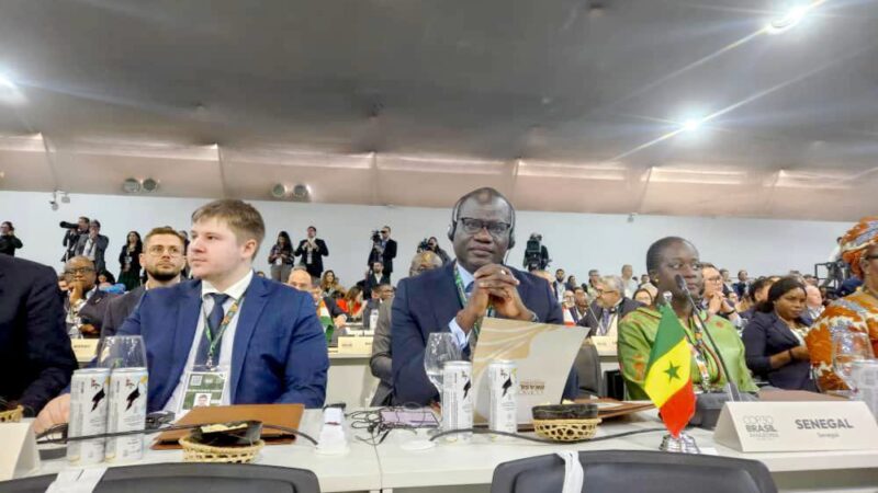 Sommet des Leaders à Belém : Dr Abdourahmane Diouf salue l’engagement du Sénégal pour le climat