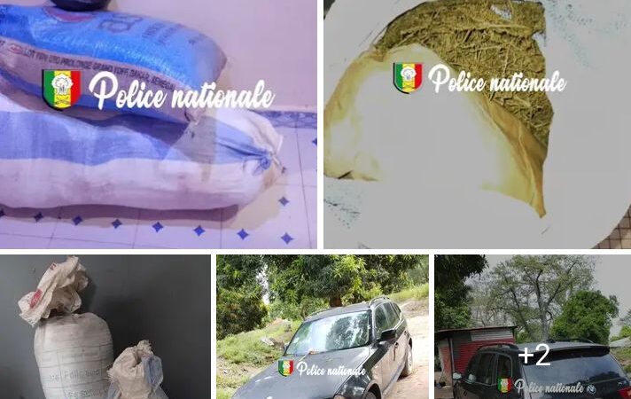 Trafic de drogue à Ndimbaya : deux individus arrêtés et 40 kg saisis …
