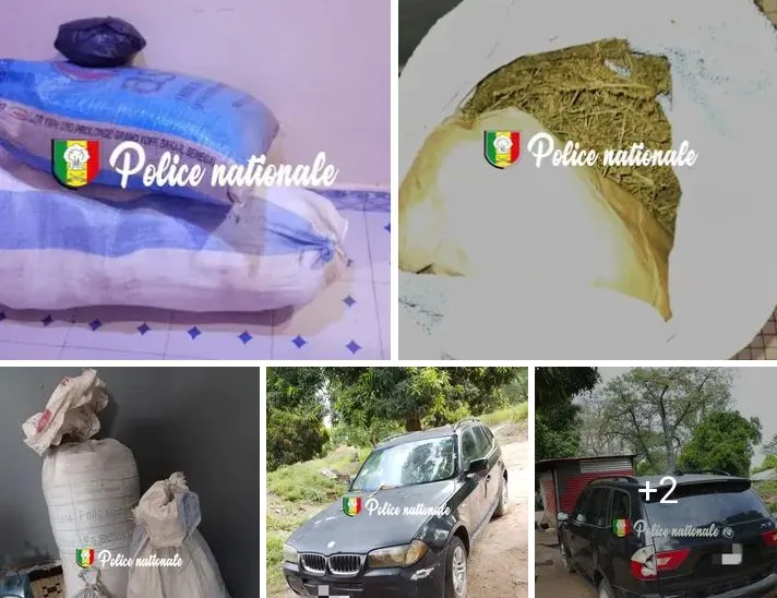 Trafic de drogue à Ndimbaya : deux individus arrêtés et 40 kg saisis …