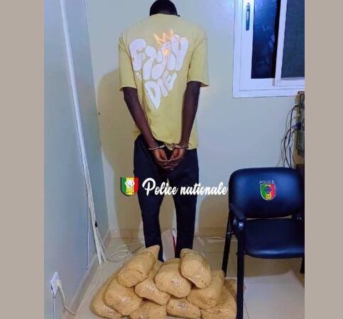 Rufisque : Un trafiquant arrêté avec 10 kg de chanvre indien au quai de pêche