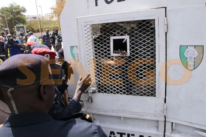 Infanticide et accouchement clandestin : les coulisses d’une arrestation