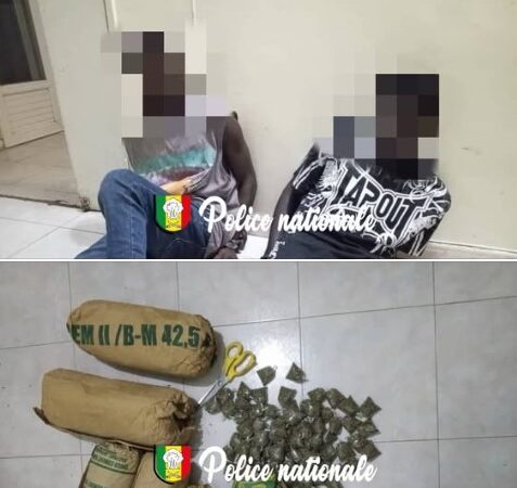 Saisie de 9 kg de chanvre indien à Louga : deux individus arrêtés par la Brigade régionale des stupéfiants