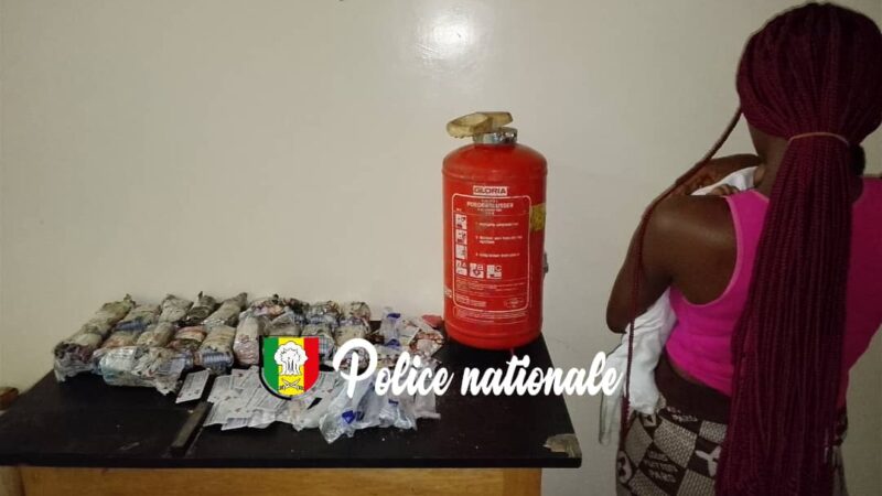 Trafic international de drogue : Une convoyeuse tombe avec des tubes de fer et un extincteur piégés à Kolda