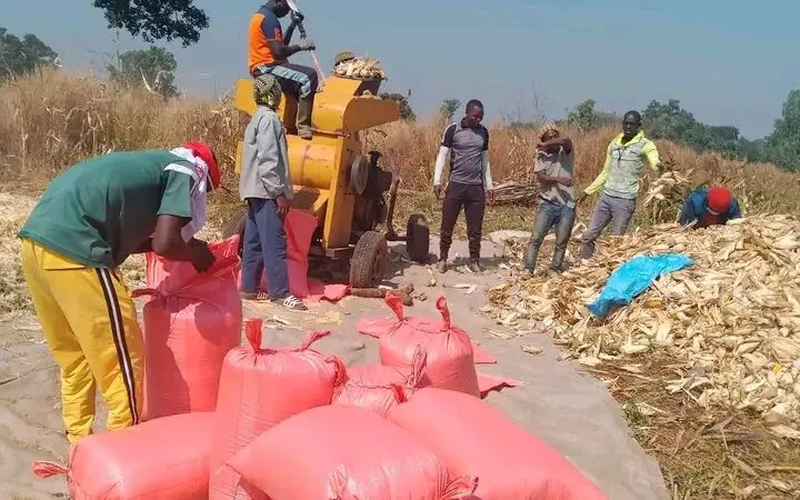 BAOS–PRODAC : première récolte prometteuse pour le projet « Toolu Migrant »