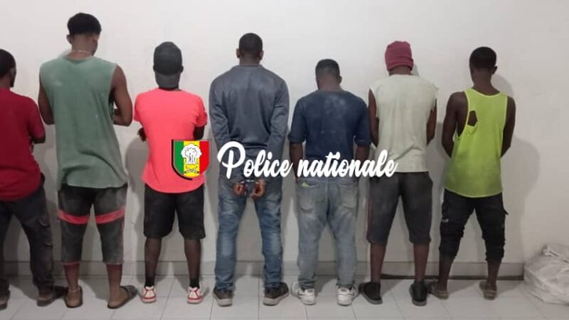 Thiaroye : Sept individus arrêtés dans deux boulangeries clandestines…