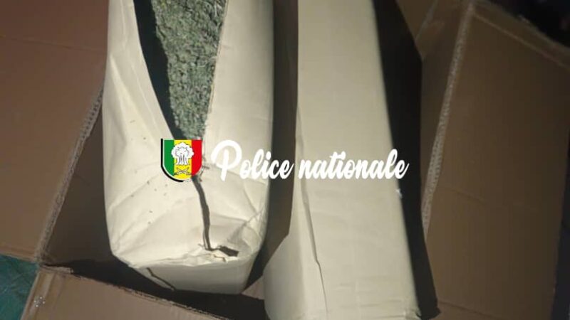 Trafic de drogue : 17 kg de kush saisis dans un colis en provenance d’Asie