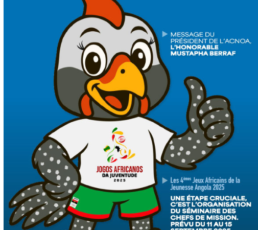 CNOSS critiqué : Mais le Sénégal sera bien présent aux Jeux Africains de la Jeunesse