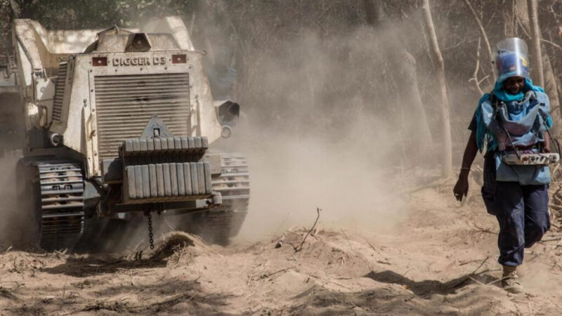 Zones dangereuses, ménages déplacés, m² à déminer : voici les chiffres révélateurs de l’ampleur du conflit casamançais