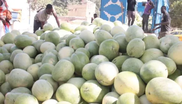 Thiès : une vendeuse de pastèques accuse un guérisseur d’avoir soutiré 26 millions…